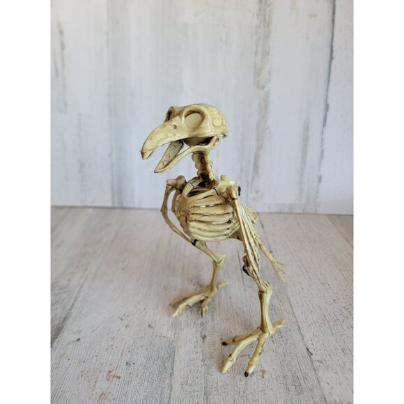 Pirate Crow skeleton Halloween prop home decor scary bird figure - Picture 3 of 7